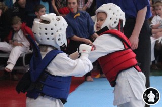 занятия каратэ для детей (220)